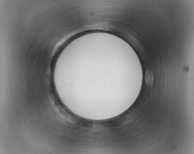 X0000112140388200908281322