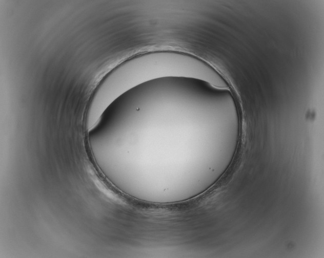 X0000112140389200908281322