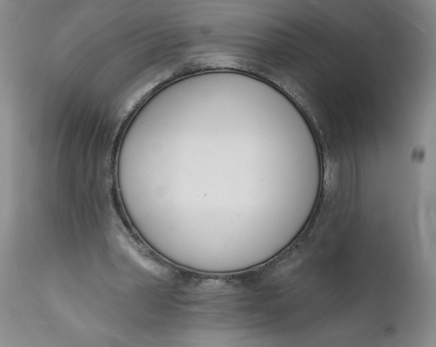 X0000112140390200908281322