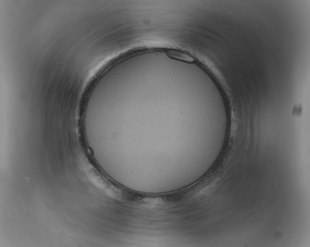 X0000112140391200908281322