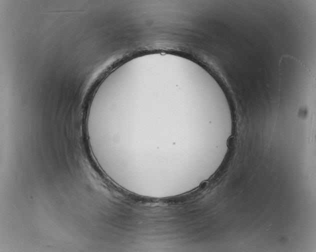 X0000112140395200908281322