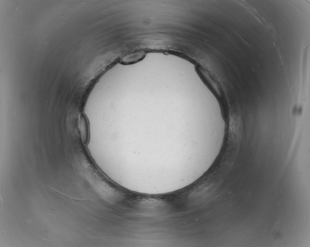 X0000112140397200908281322