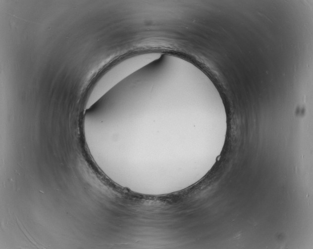 X0000112140399200908281322