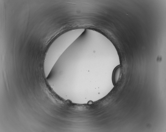 X0000112140405200908281322