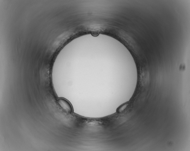 X0000112140407200908281322