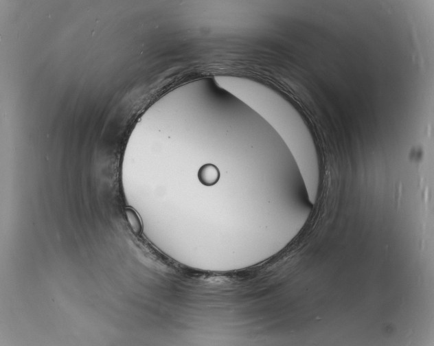 X0000112140409200908281322