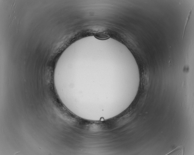 X0000112140412200908281322