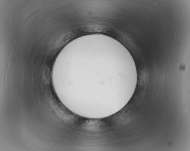 X0000112140414200908281321