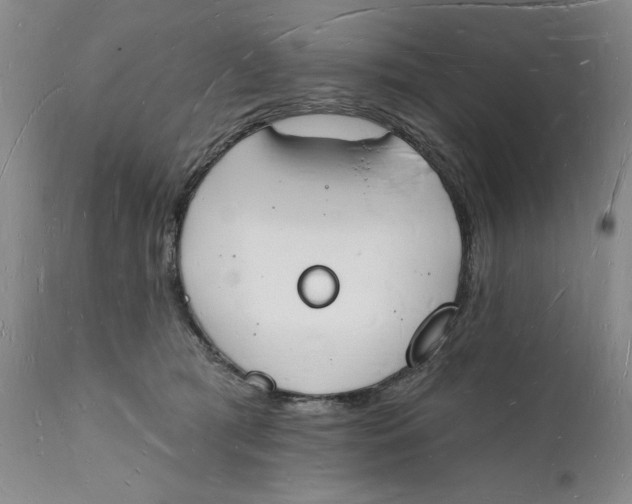 X0000112140417200908281321