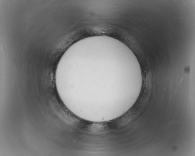 X0000112140418200908281321