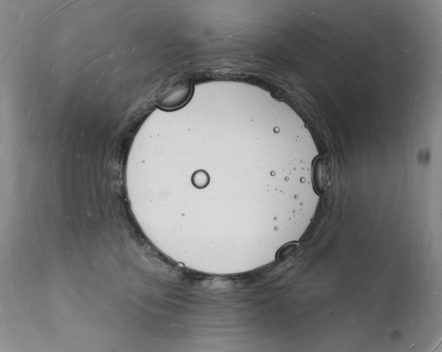 X0000112140419200908281321