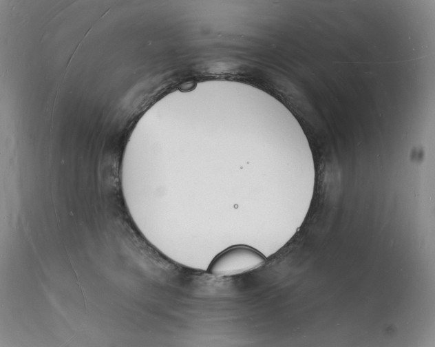 X0000112140421200908281321