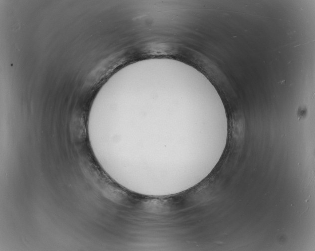 X0000112140422200908281321