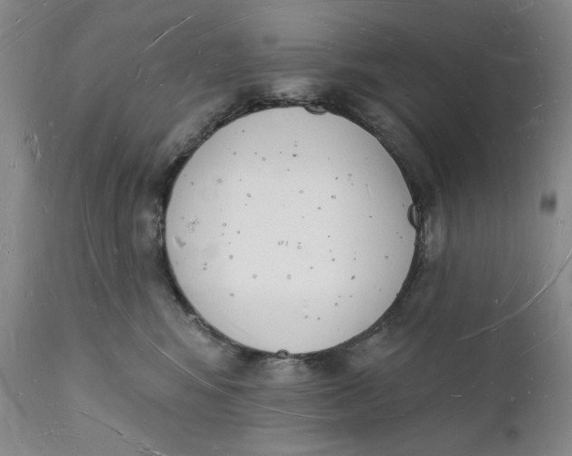 X0000112140424200908281321