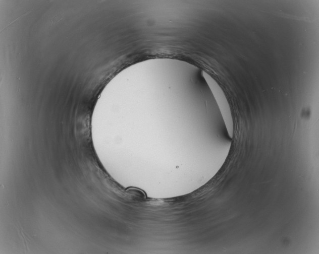 X0000112140425200908281321