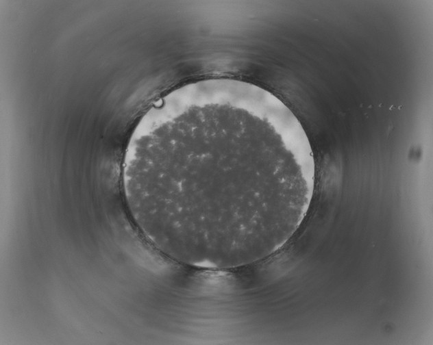 X0000112140427200908281321