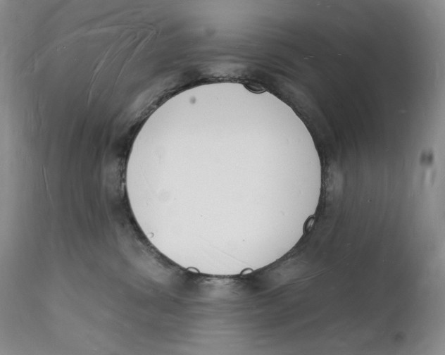 X0000112140428200908281321