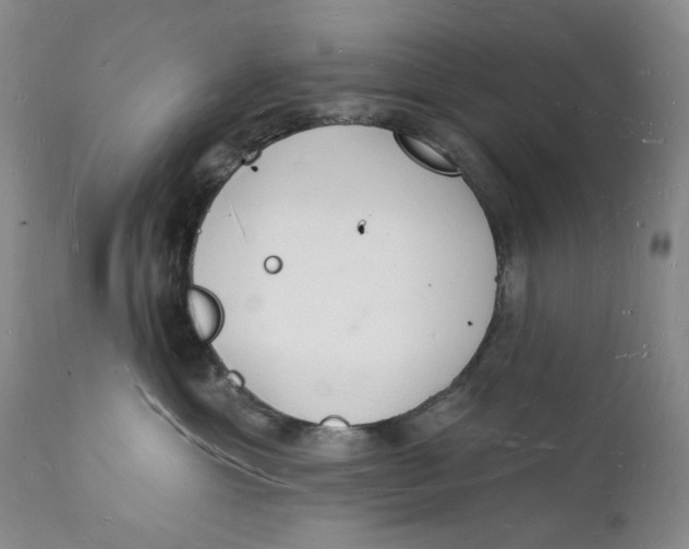 X0000112140429200908281321