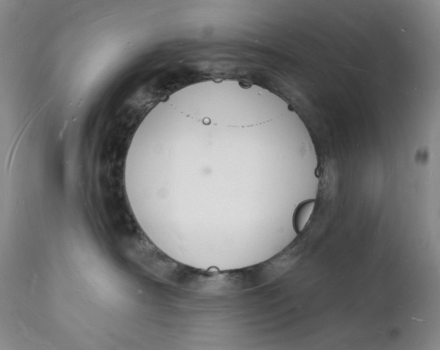 X0000112140430200908281321