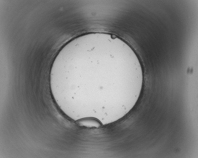 X0000112140433200908281321