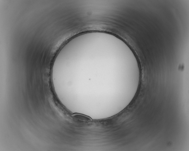 X0000112140434200908281321