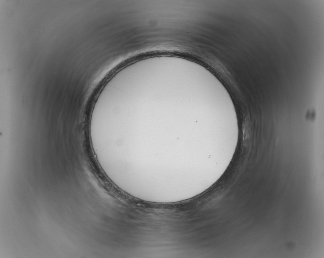 X0000112140436200908281321