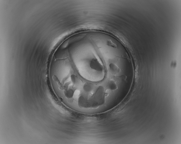 X0000112140438200908281321