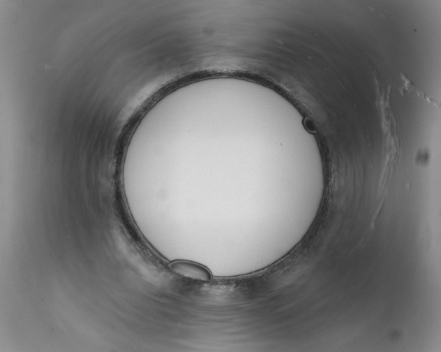 X0000112140440200908281321