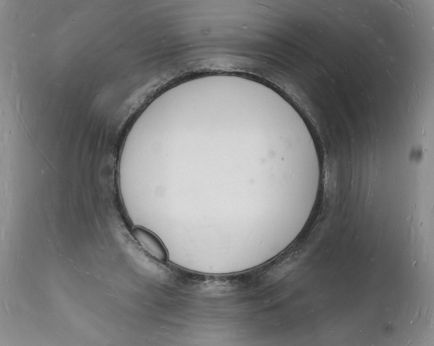 X0000112140445200908281321