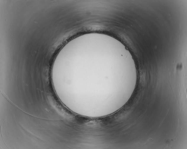 X0000112140447200908281321