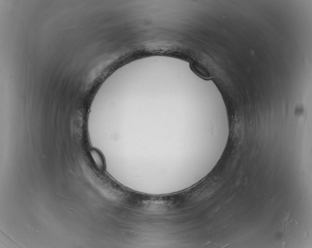 X0000112140448200908281321