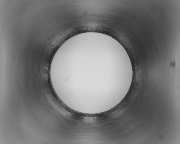 X0000112140450200908281321