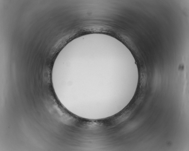 X0000112140453200908281321