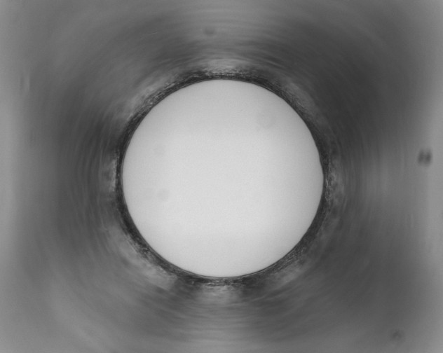 X0000112140454200908281321