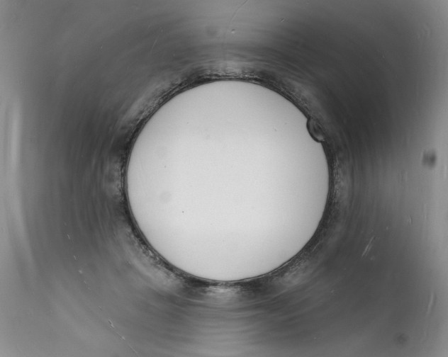 X0000112140457200908281321