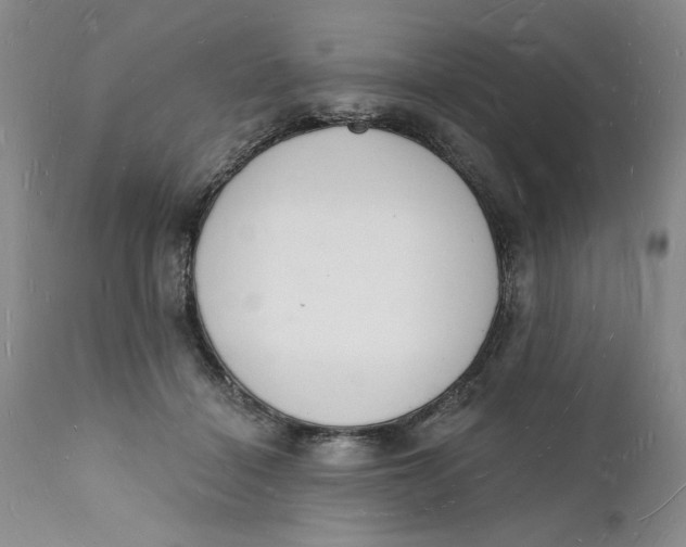 X0000112140460200908281321