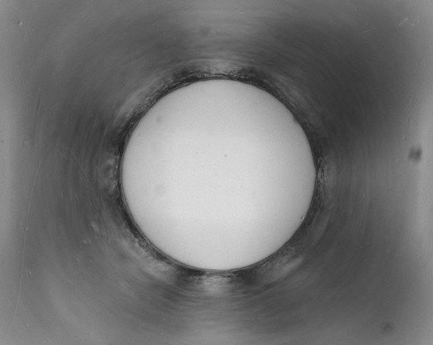 X0000112140462200908281321