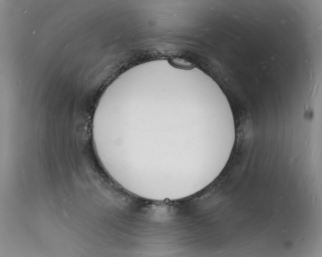 X0000112140464200908281321