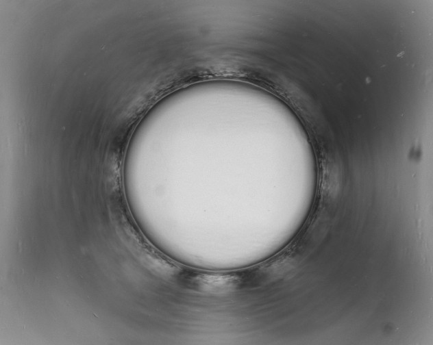 X0000112140465200908281321