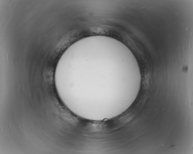 X0000112140466200908281321