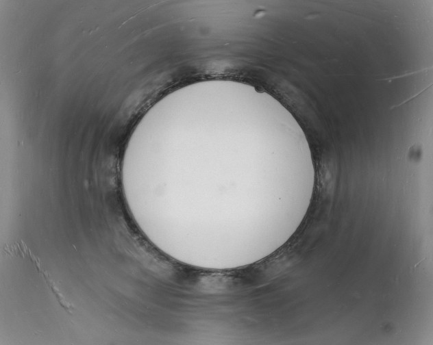 X0000112140470200908281321