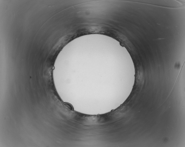 X0000112140473200908281321