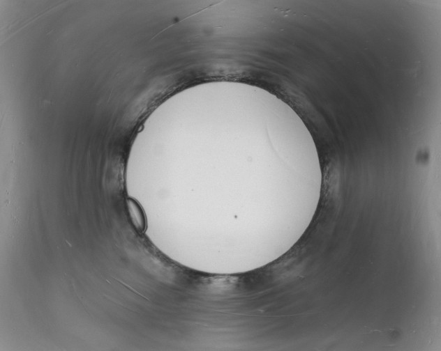 X0000112140474200908281321