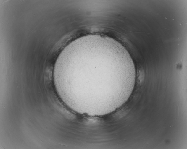 X0000112140475200908281321