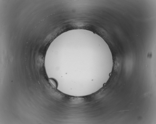 X0000112140476200908281321