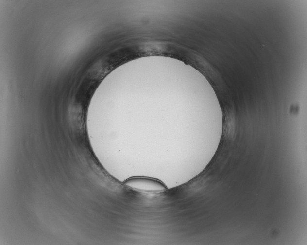 X0000112140477200908281321