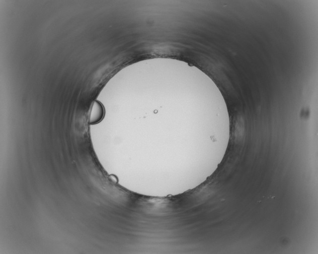 X0000112140478200908281321