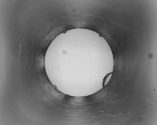 X0000112140479200908281321