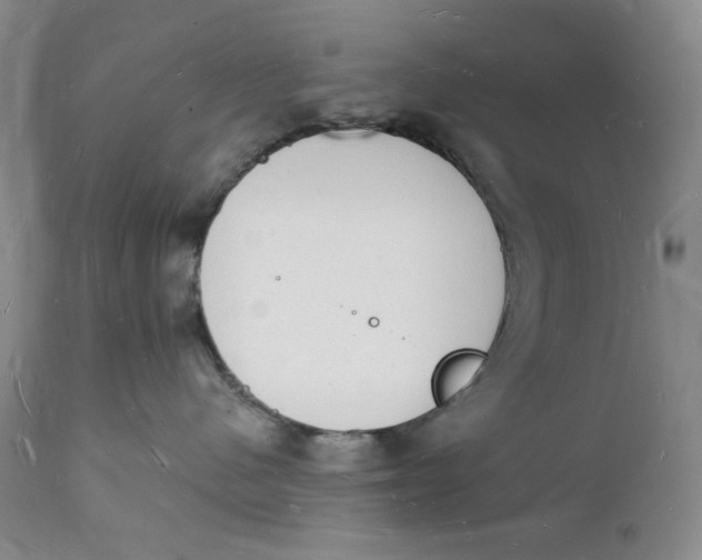 X0000112140480200908281321