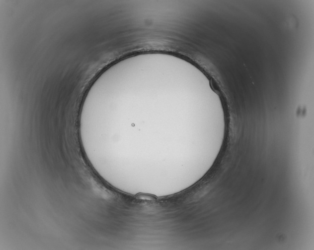 X0000112140481200908281321